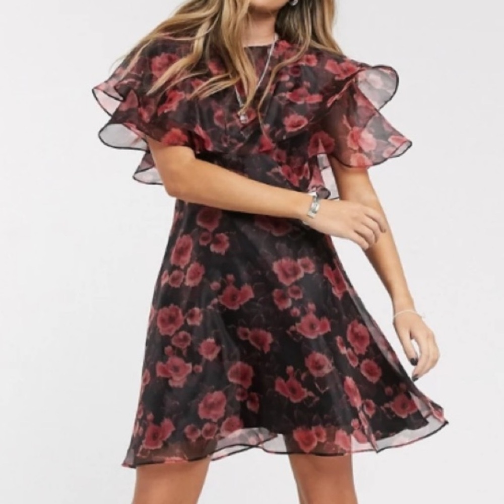 NWT TopShop Floral Organza Dress